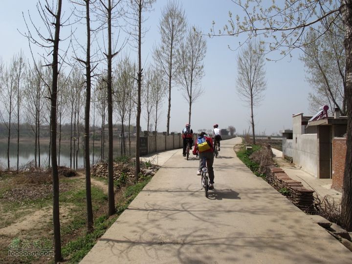 【奔驰车行】2011.4.9杨庄观油菜花IMG_1024