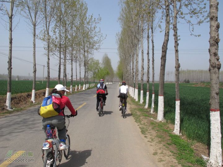 【奔驰车行】2011.4.9杨庄观油菜花IMG_1029