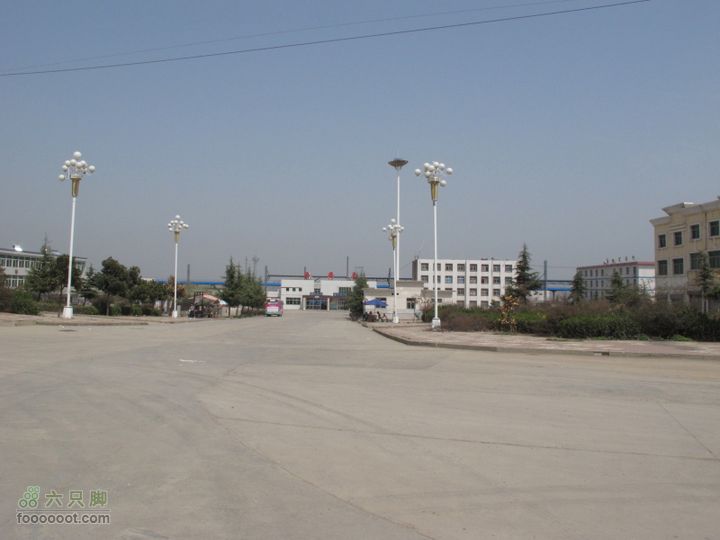 【奔驰车行】2011.4.9杨庄观油菜花西安南站
