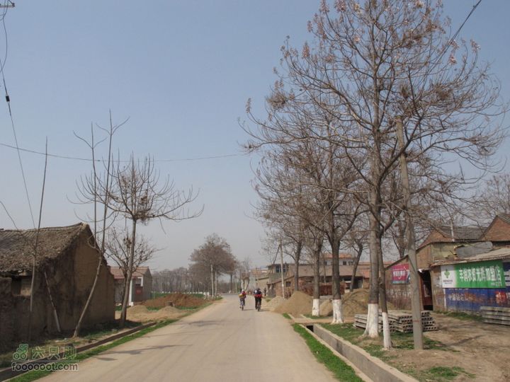 【奔驰车行】2011.4.9杨庄观油菜花IMG_1033