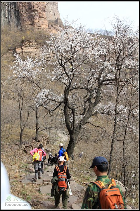 20110409郭家园-红土岭- 天门会长城-方家沟郭家园-天平寺-方家沟47