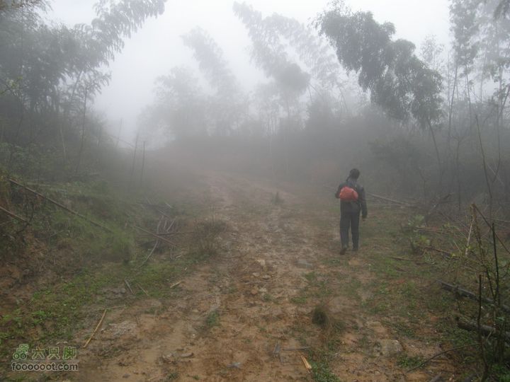 探路太平山遇雨，迷路十八窝偶遇采药人P4090823