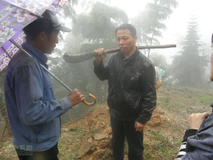 探路太平山遇雨，迷路十八窝偶遇采药人P4090825