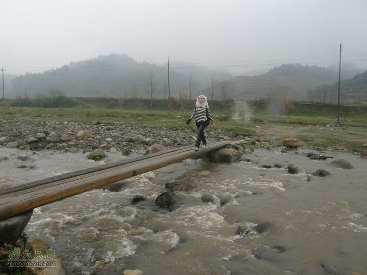 探路太平山遇雨，迷路十八窝偶遇采药人P4090844