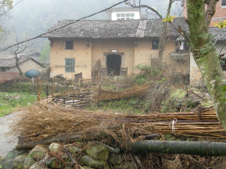 探路太平山遇雨，迷路十八窝偶遇采药人P4090850