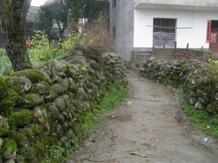 探路太平山遇雨，迷路十八窝偶遇采药人P4090851