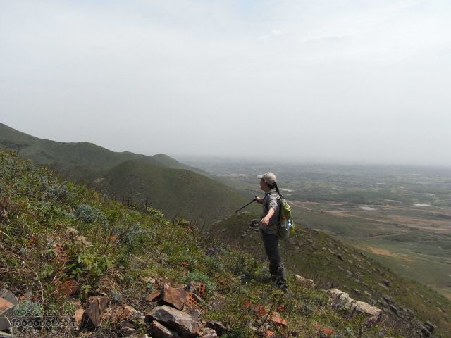 汤山九华山RIMG0164