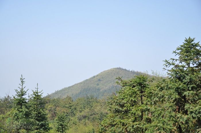 体验慈溪首条民间健身步道——栲栳山环线“富士山”