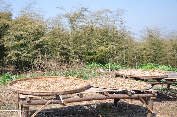 体验慈溪首条民间健身步道——栲栳山环线吃了一根笋干，好鲜啊