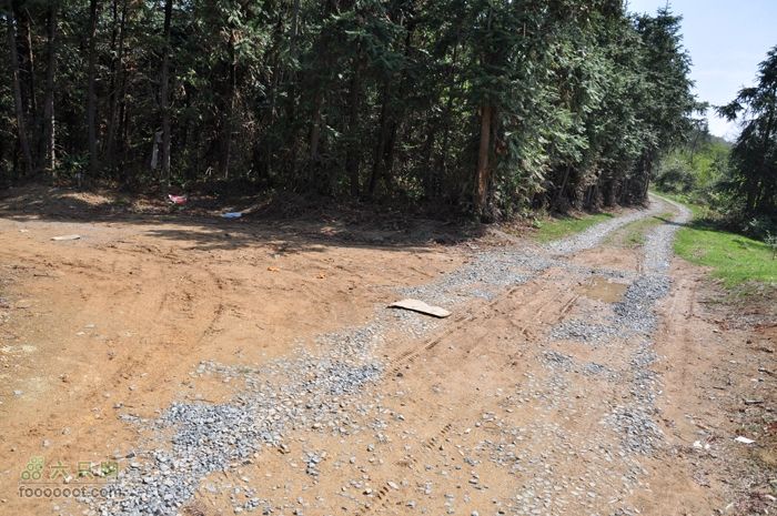 体验慈溪首条民间健身步道——栲栳山环线护国俺林场解家三岔路口