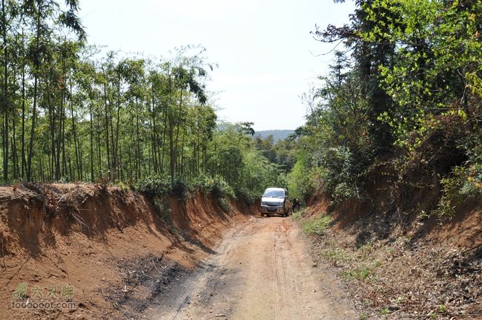 体验慈溪首条民间健身步道——栲栳山环线可怜的小面包