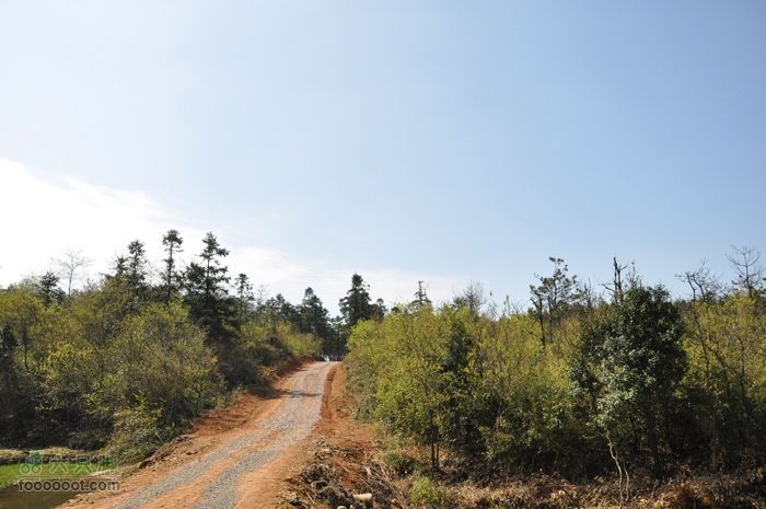 体验慈溪首条民间健身步道——栲栳山环线通往林场的机耕路