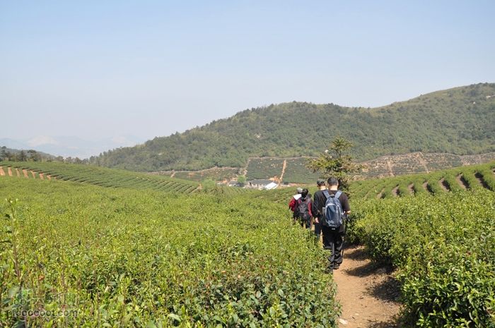 体验慈溪首条民间健身步道——栲栳山环线向三角站前进