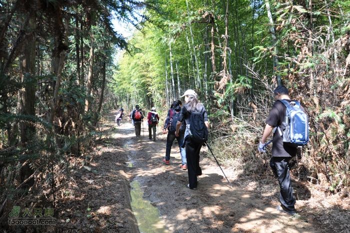 体验慈溪首条民间健身步道——栲栳山环线行进在泥泞的机耕路上