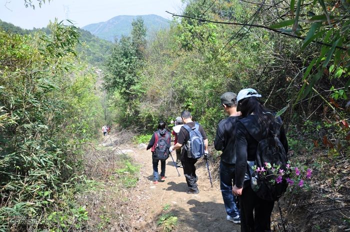 体验慈溪首条民间健身步道——栲栳山环线行进在下山的途中