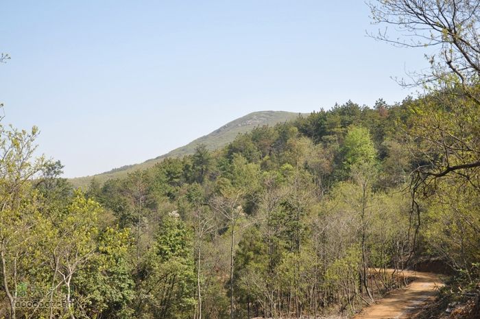 体验慈溪首条民间健身步道——栲栳山环线遥望东栲栳顶