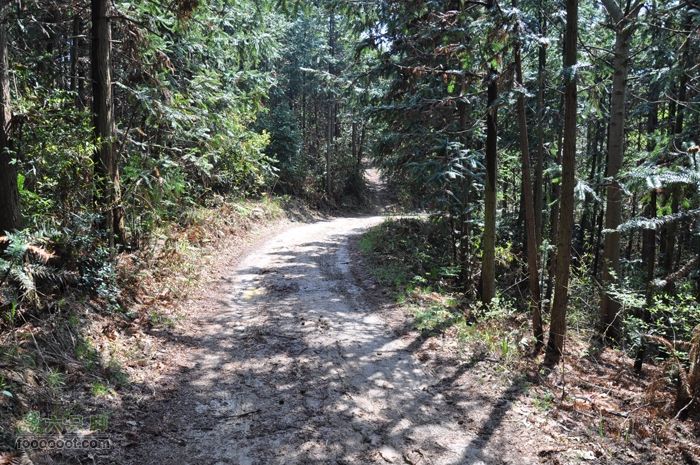 体验慈溪首条民间健身步道——栲栳山环线有一段泥泞的机耕路