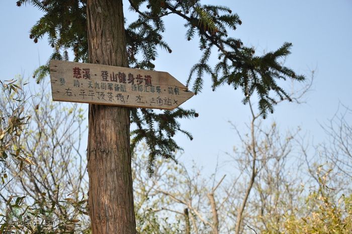 体验慈溪首条民间健身步道——栲栳山环线在茶场的步道指示牌