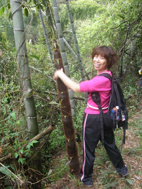 宜春经典穿越路线（温汤刘坊到十里峡谷）P4170932