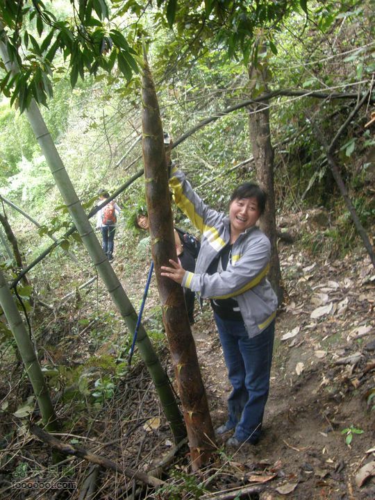 宜春经典穿越路线（温汤刘坊到十里峡谷）P4170947