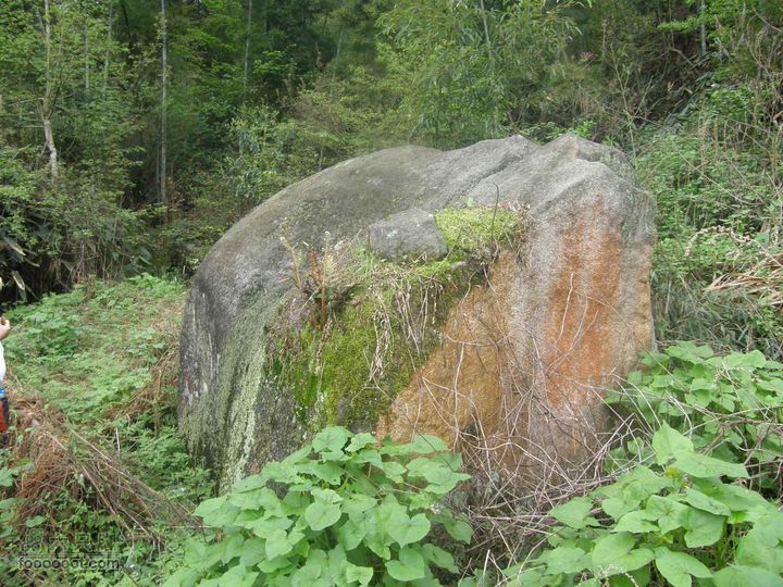 宜春经典穿越路线（温汤刘坊到十里峡谷）P4170966