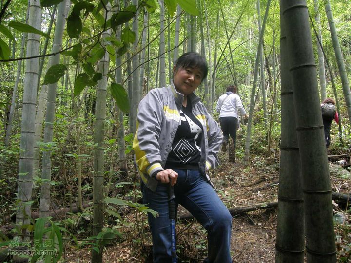 宜春经典穿越路线（温汤刘坊到十里峡谷）P4171005