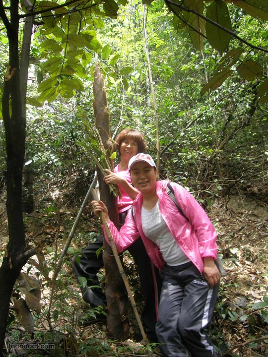宜春经典穿越路线（温汤刘坊到十里峡谷）P4171009