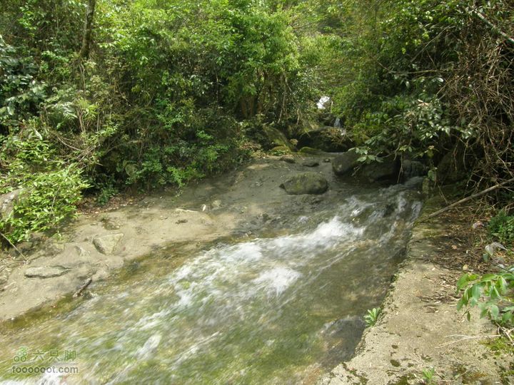 宜春经典穿越路线（温汤刘坊到十里峡谷）P4171022