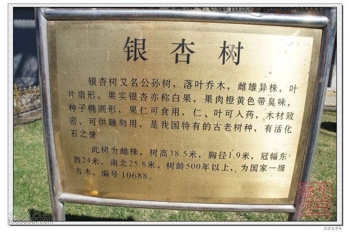 北京骑迹40 清明祭英烈 寻北京最西端 访红歌诞生地nEO_IMG_DSC02717