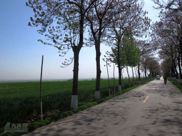 【博跃美利达】2011.4.23水陆庵IMG_1136