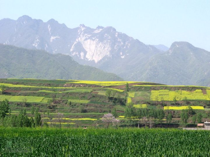 【博跃美利达】2011.4.23水陆庵IMG_1139