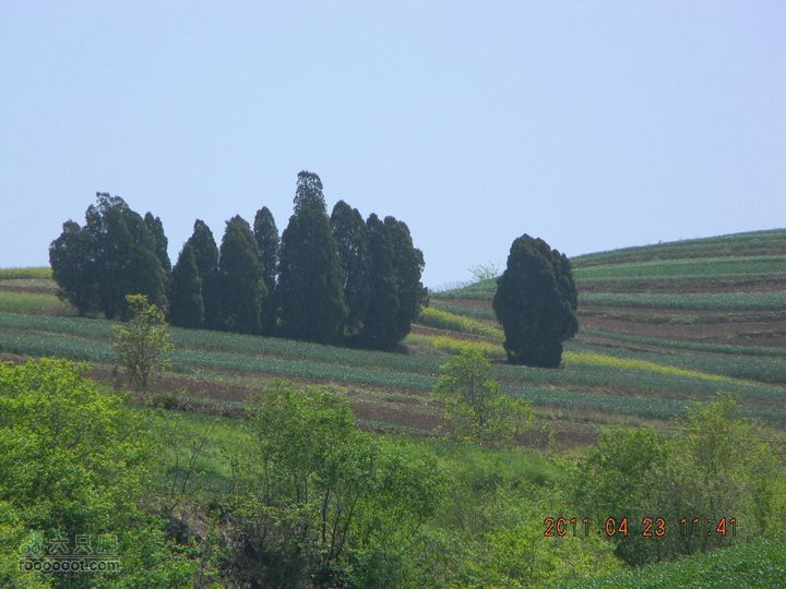 【博跃美利达】2011.4.23水陆庵DSCN2434