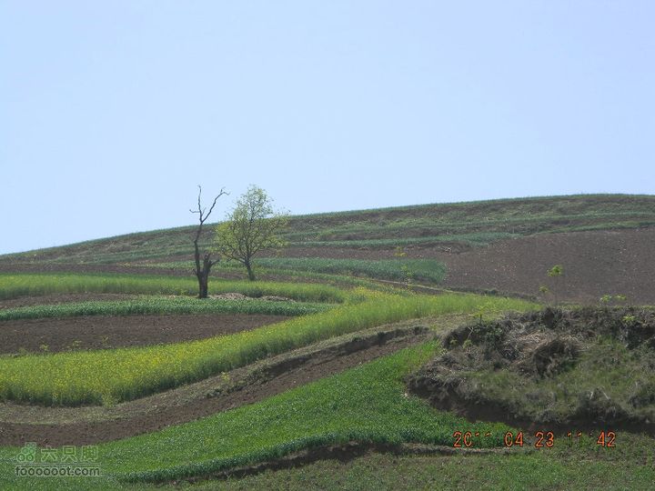 【博跃美利达】2011.4.23水陆庵DSCN2437