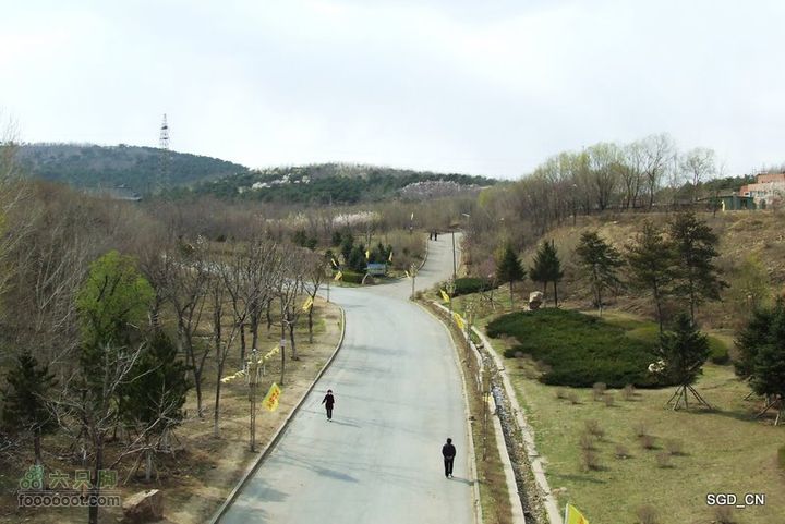 铁岭新区_调兵山明月禅寺DSCF3059