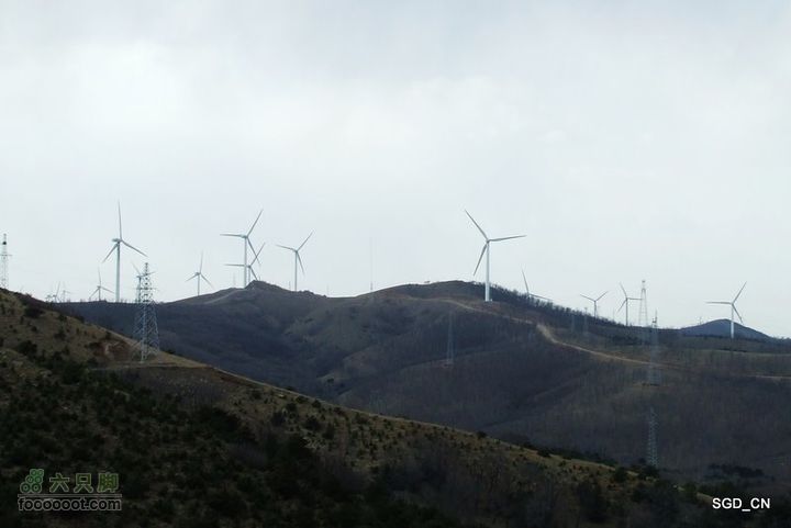 铁岭新区_调兵山明月禅寺DSCF3065