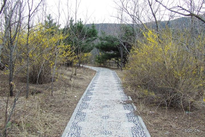 铁岭新区_调兵山明月禅寺DSCF3077