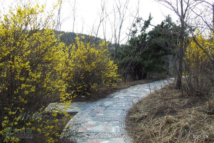 铁岭新区_调兵山明月禅寺DSCF3079