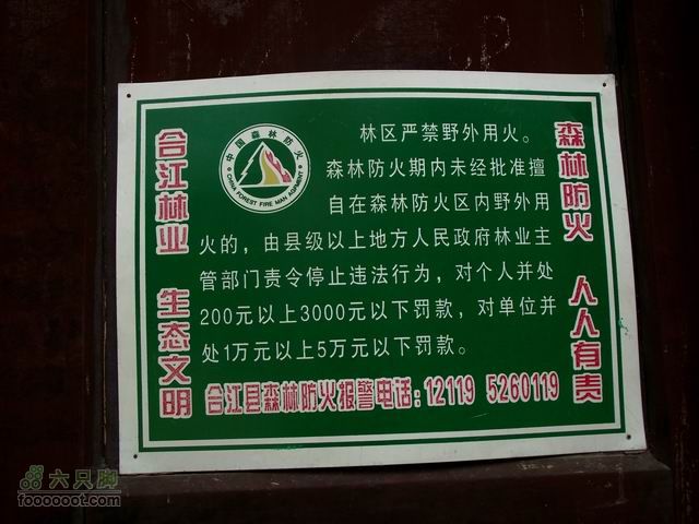 20110430重庆陈家坪到四川泸州自怀风景区调整大小 DSCF1046
