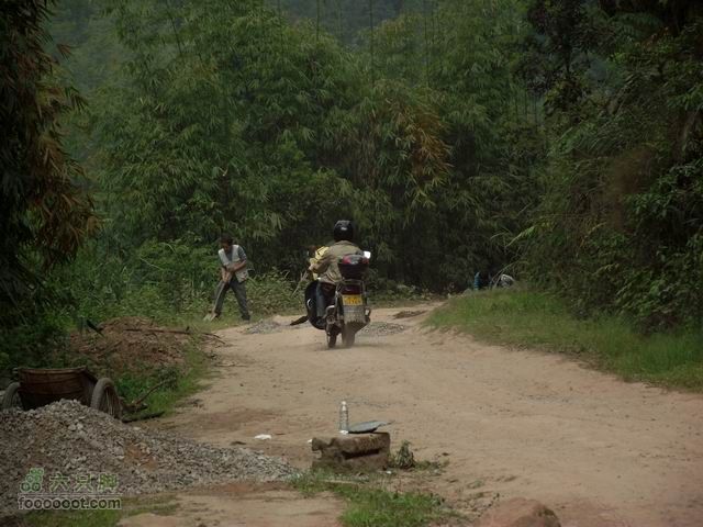 20110430重庆陈家坪到四川泸州自怀风景区调整大小 DSCF1054