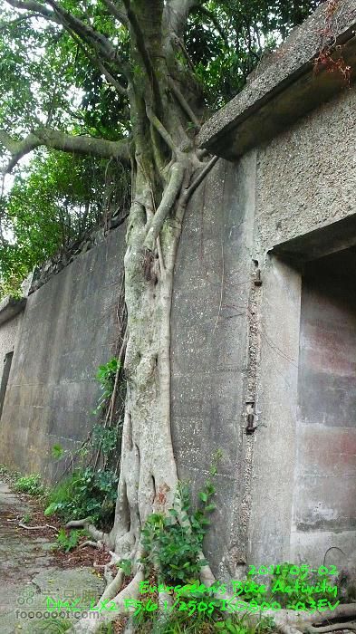 2011 05 02 港島漫遊：舊日的足蹟P1380524