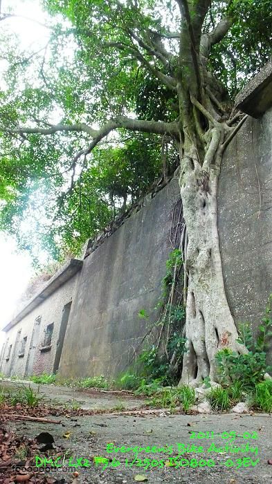 2011 05 02 港島漫遊：舊日的足蹟P1380525