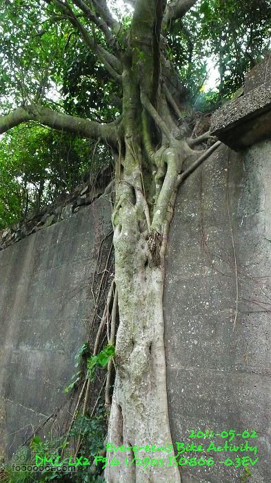 2011 05 02 港島漫遊：舊日的足蹟P1380526