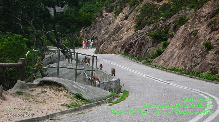 2011 05 07 大埔>馬騮山>荃灣>觀塘>紅磡P1380610