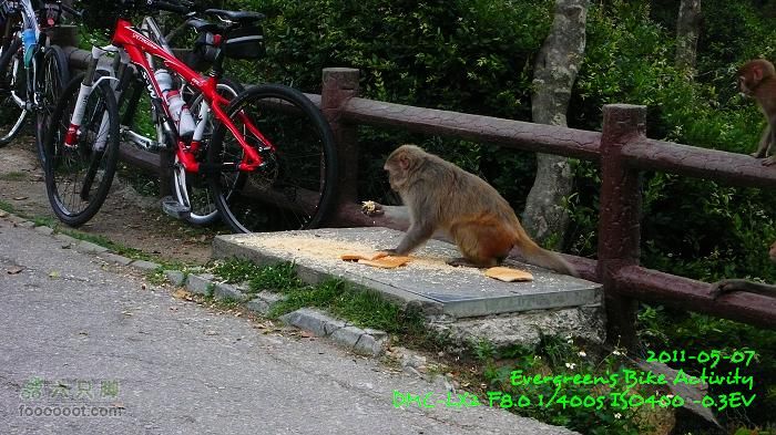 2011 05 07 大埔>馬騮山>荃灣>觀塘>紅磡P1380621