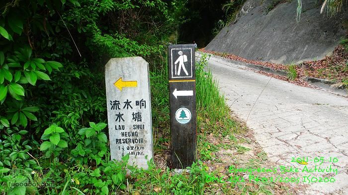 2011 05 10 六個山P1380851
