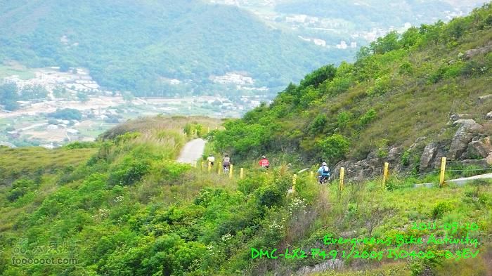 2011 05 10 六個山P1380898