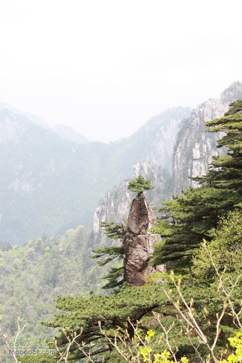 2011-05-07-穿越黄山-青岛向阳山户外IMG_2926梦笔生花