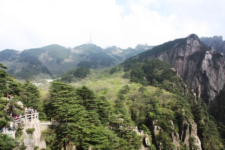 2011-05-07-穿越黄山-青岛向阳山户外IMG_3053