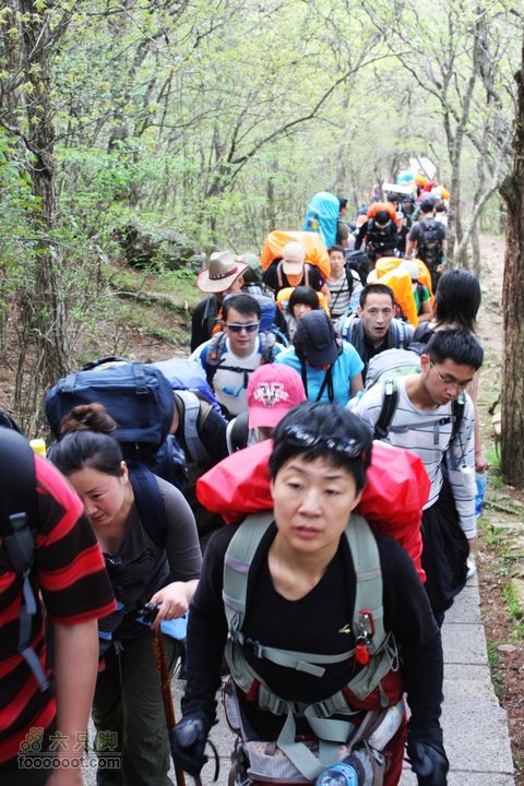 2011-05-07-穿越黄山-青岛向阳山户外IMG_3071向光明顶进发