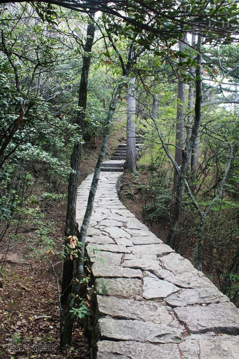 2011-05-07-穿越黄山-青岛向阳山户外IMG_3203通往步仙桥的小径